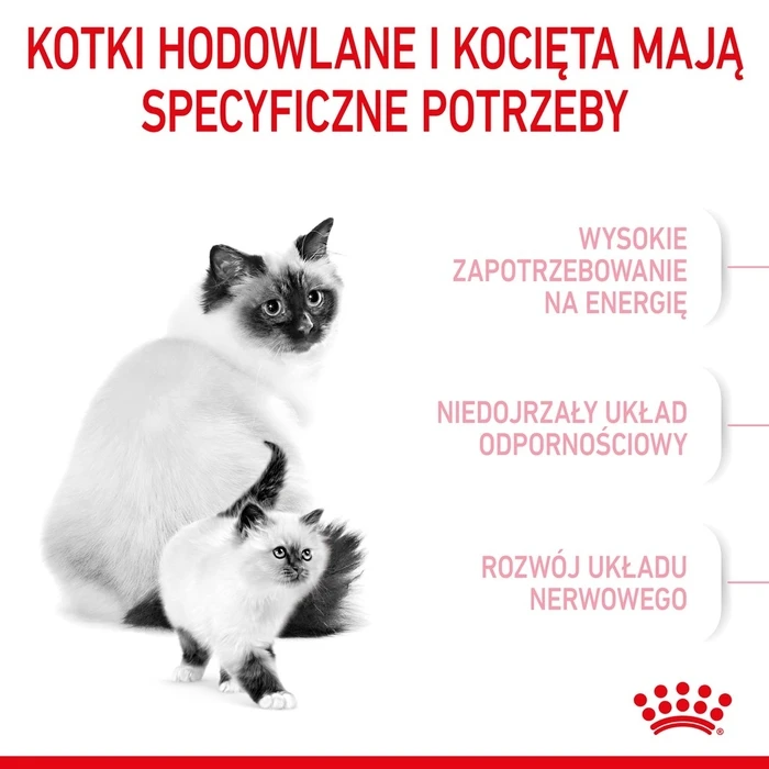 Ξηρά Τροφή Γάτας Royal Canin Mother & Babycat cats 2 kg