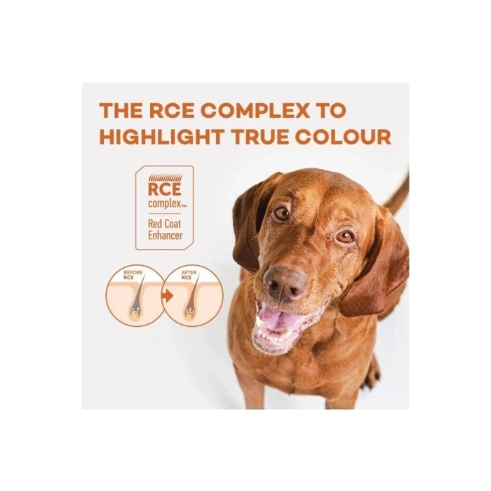 Ξηρά Τροφή Σκύλων Nature's Protection Superior Care Red Coat Adult Small breed Grain free Salmon 1,5kg