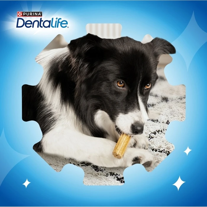 Ξηρά Τροφή Σκύλων Purina Dentalife Extra Mini - Dental snack for dogs - 69 g