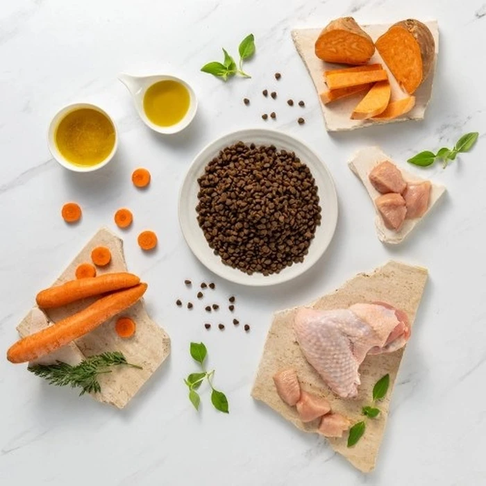 Ξηρά Τροφή Σκύλων Raw Paleo Ultra Mini Puppy Turkey - for puppies - 8 kg