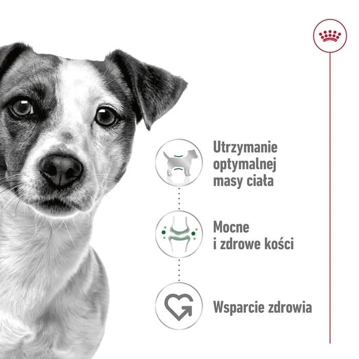 Ξηρά Τροφή Σκύλων Royal Canin Adult Mini S 4kg