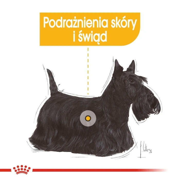 Ξηρά Τροφή Σκύλων Royal Canin Mini Dermacomfort - adult small breeds with sensitive skin prone to irritation - 3kg
