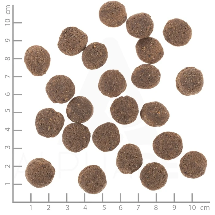 Ξηρά Τροφή Σκύλων Wolfsblut VetLine Hypoallergenic Horse with sweet potatoes 2kg