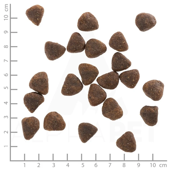 Ξηρά Τροφή Σκύλων Wolfsblut Wide Plain Horse 2kg