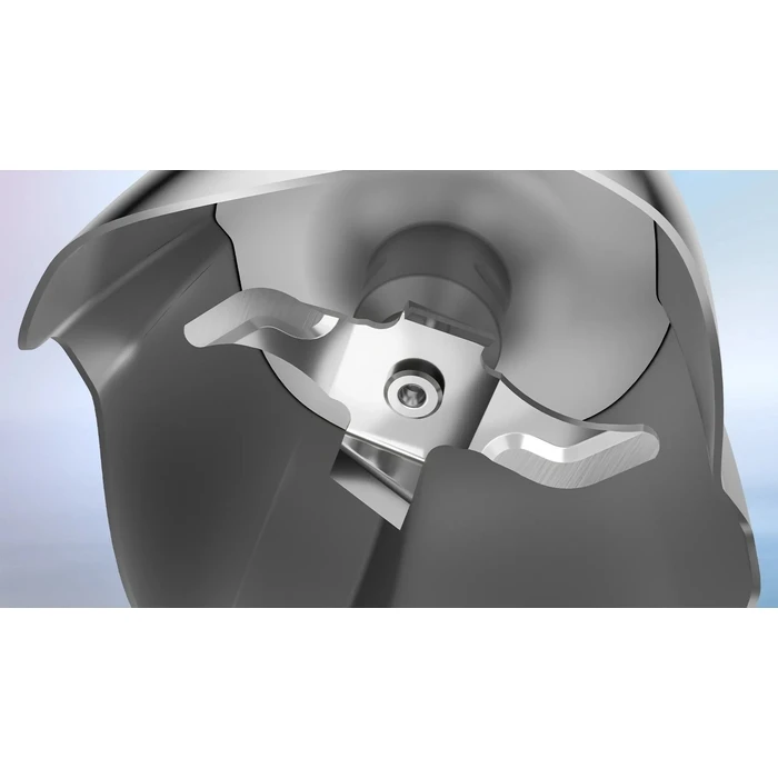 Ραβδομπλέντερ Bosch Serie 6 MSM6M621 blender 0.5 L 1000 W Black, Stainless steel