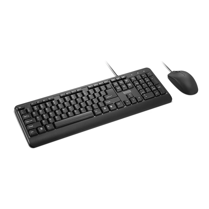 Σετ Πληκτρολόγιο Και Ποντίκι Ενσύρματο Lenovo 160 Home/Office USB US English Black