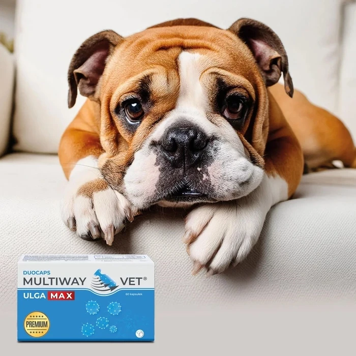 Συμπλήρωμα Διατροφής JM Sante Multiway Vet Duocaps Ulga Max - twist-off for relieving stress and discomfort in dogs and cats – 60 pcs