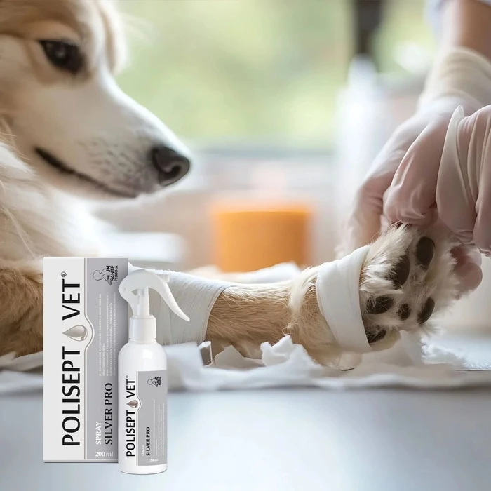 Συμπλήρωμα Διατροφής JM Sante Polisept Vet Spray Silver Pro - wound solution for dogs and cats – 200 ml