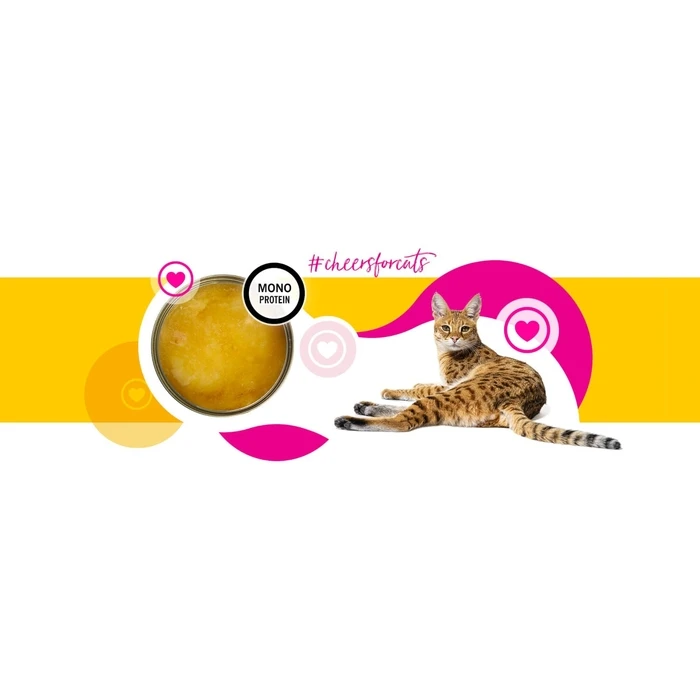 Υγρή Τροφή Γάτας 3coty Chicken Cheers! 75g