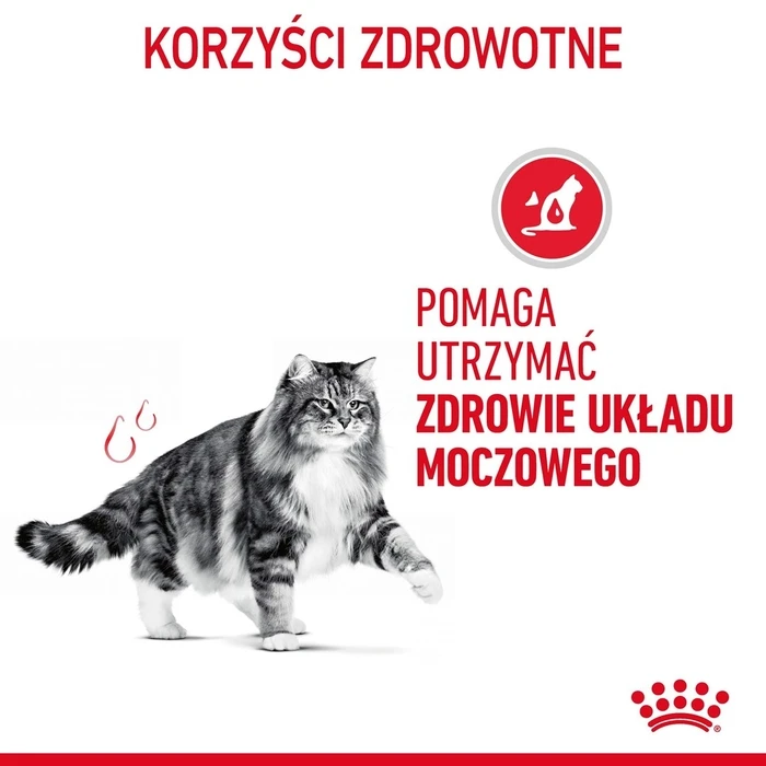 Υγρή Τροφή Γάτας Royal Canin Urinary Care in Gravy 12x85g