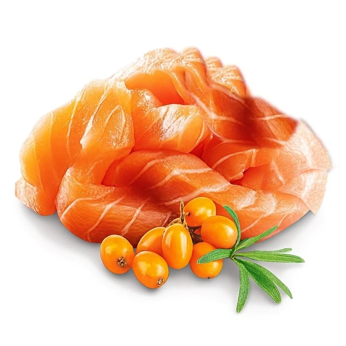 Υγρή Τροφή Γάτας Shelma Kitten with salmon in sauce 85g