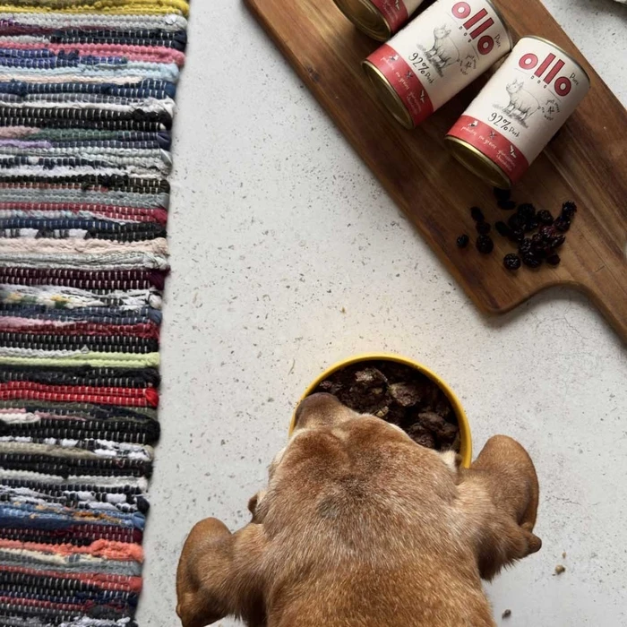 Υγρή Τροφή Σκύλων Ollo Pure Pork 850g