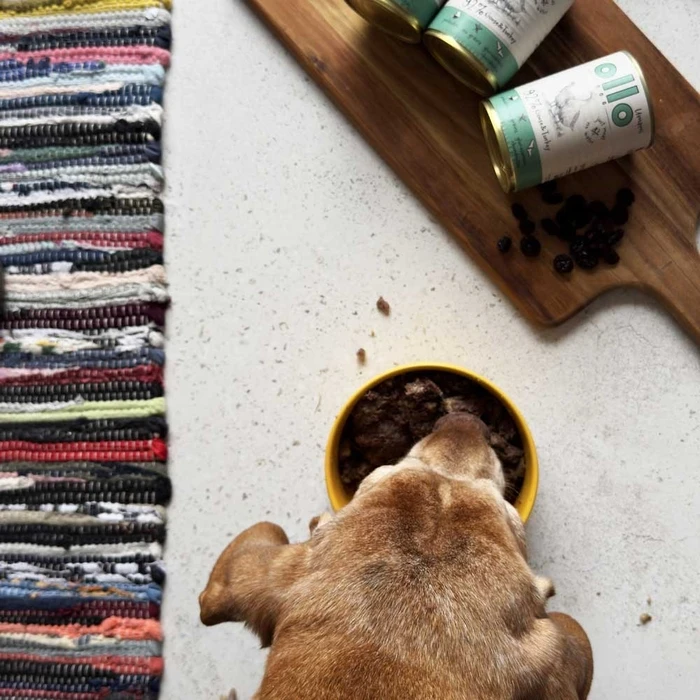 Υγρή Τροφή Σκύλων Ollo Umami Goose and turkey 850g