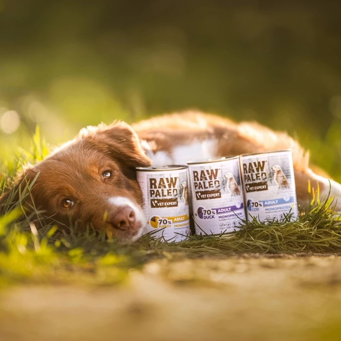 Υγρή Τροφή Σκύλων Raw Paleo Adult Monoprotein Duck 400 g