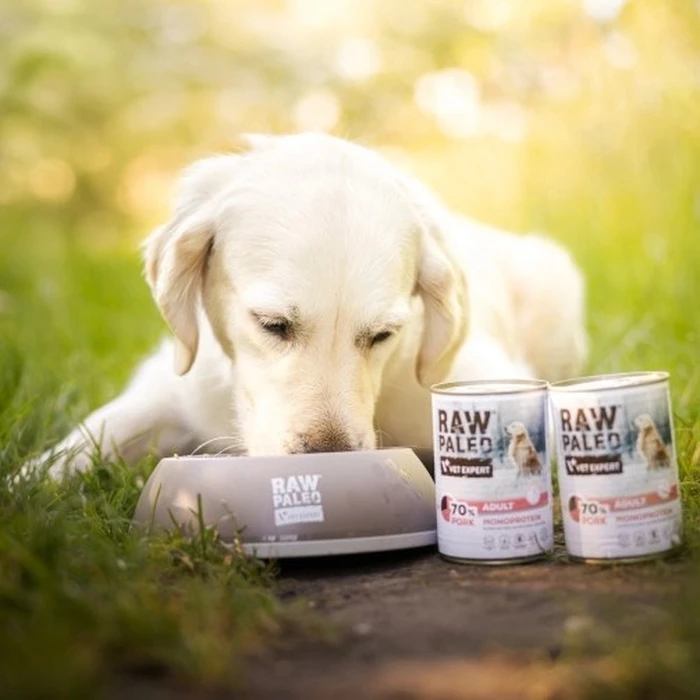 Υγρή Τροφή Σκύλων Raw Paleo Adult Monoprotein Pork 800 g