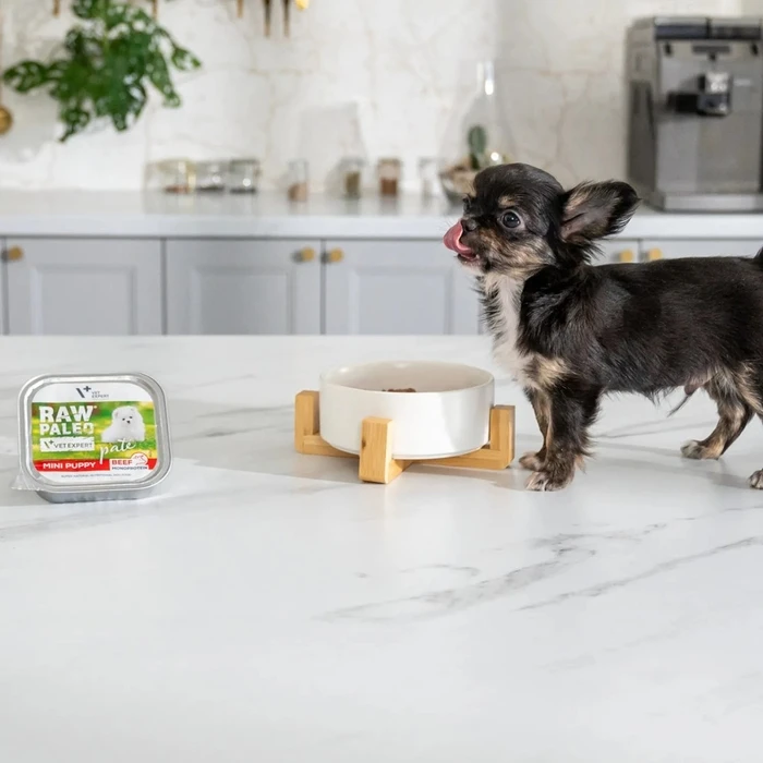 Υγρή Τροφή Σκύλων Raw Paleo Pate Mini Puppy Beef - wet food for puppies - 150 g