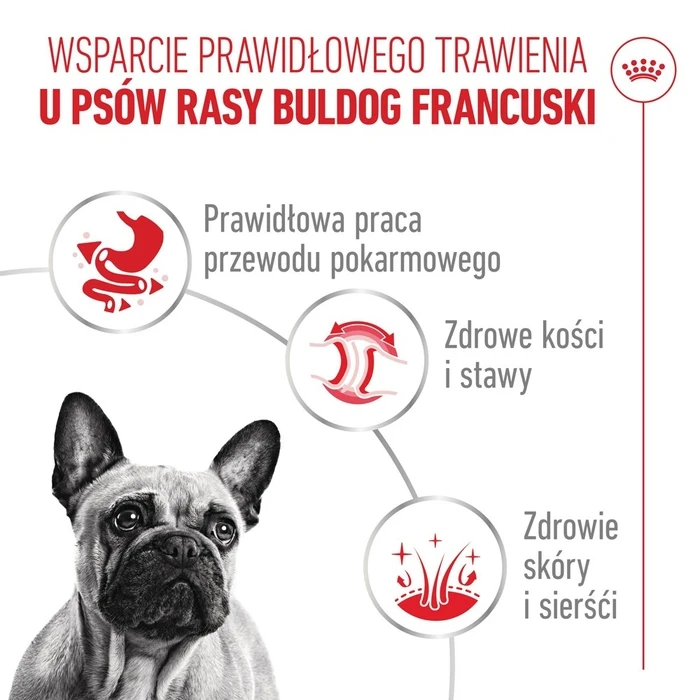 ROYAL CANIN French Bulldog Adult Digestive Health Loaf Box - Υγρή τροφή για Σκύλους - 12 x 85 g