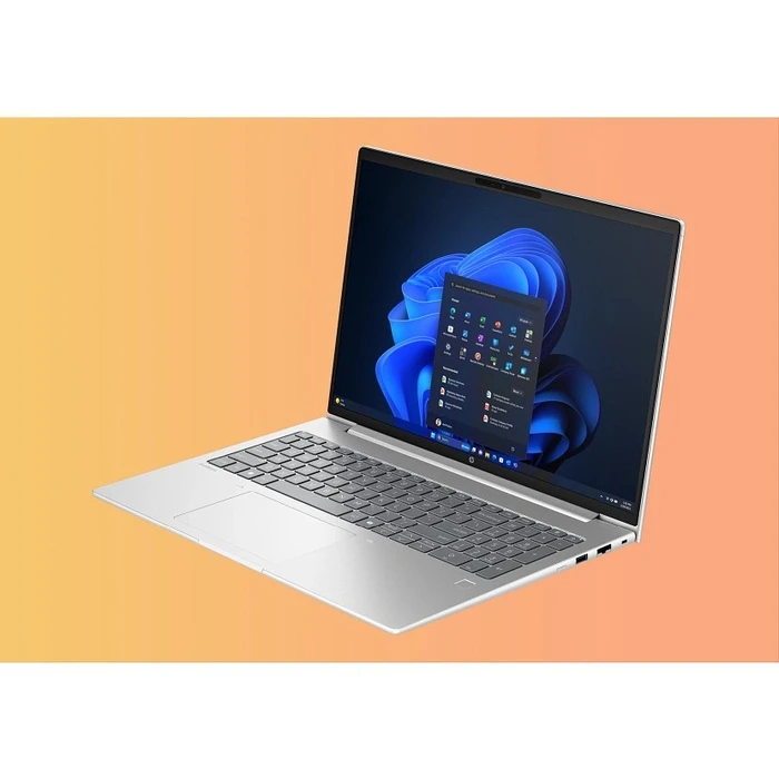 Notebook HP ProBook 4 G1i 16'' WUXGA (Intel Core Ultra 5 225U, 16GB, 512GB SSD) Pike Silver