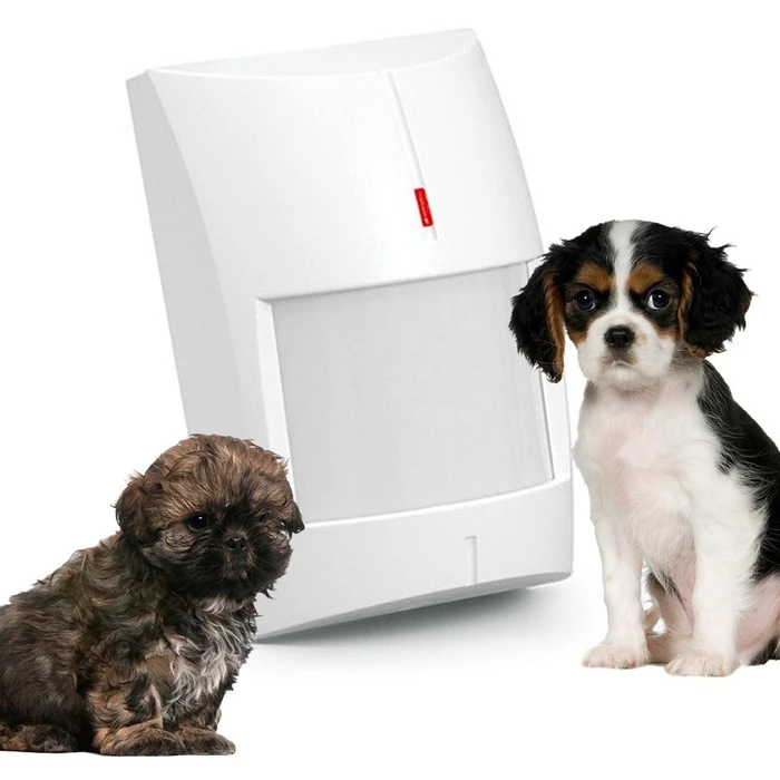 SATEL PIR+MW Motion Detector PET (Grey)