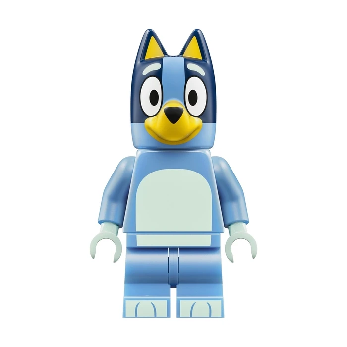 LEGO Bricks for Ages 4+, 106 pieces (11221)