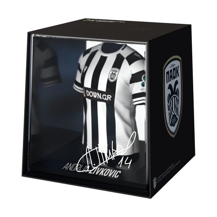 Myjersey PAOK Andrija Zivkovic Home Jersey 25/26 - 53MY00011 (FanCollex)