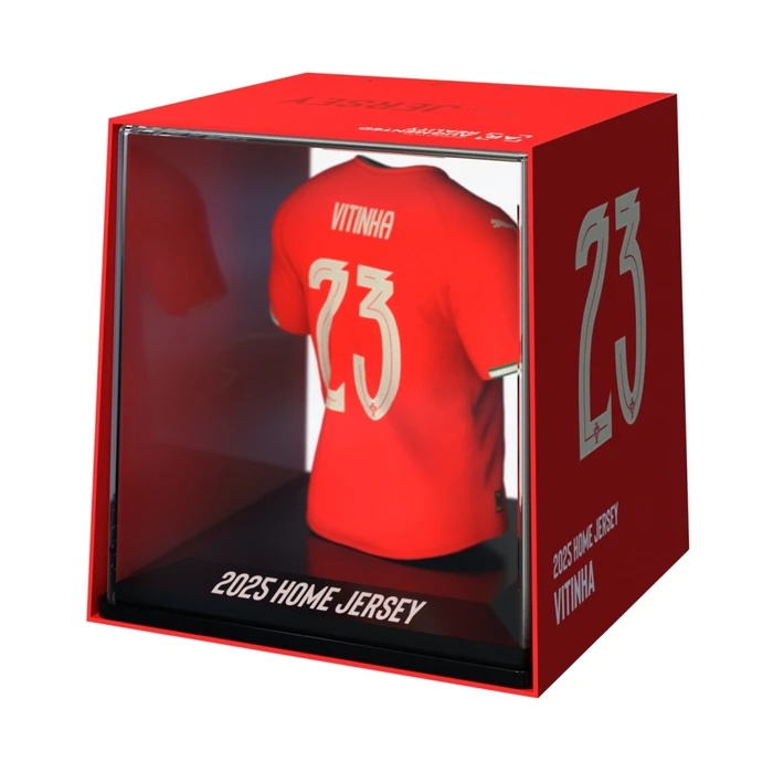 FanCollex Home Figure (Statue)