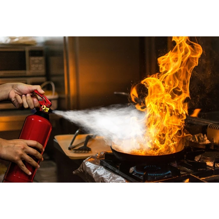 Alecto Portable Dry Powder Fire Extinguisher 2kg BP-2