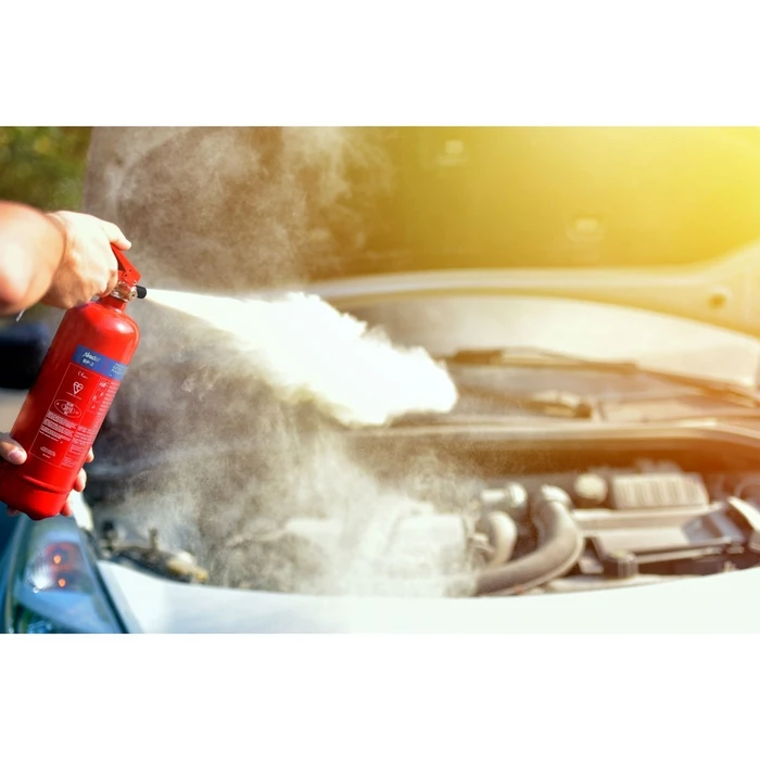 Alecto Portable Dry Powder Fire Extinguisher 2kg BP-2