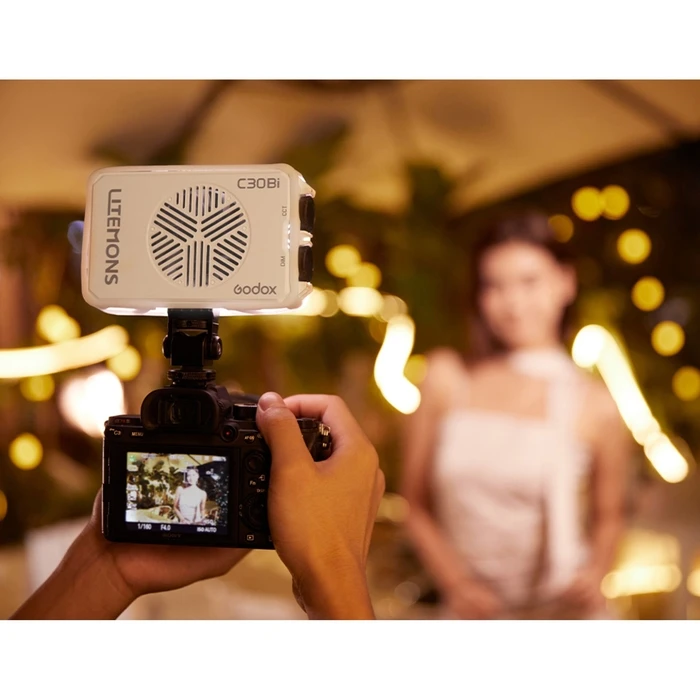 Godox Litemons C30Bi Bi-color Mini LED Panel 30W (C30BI)