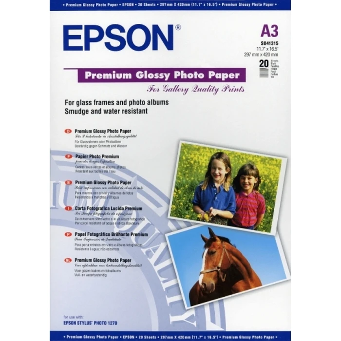 Φωτογραφικό Χαρτί Epson Premium Glossy Photo C13S041315