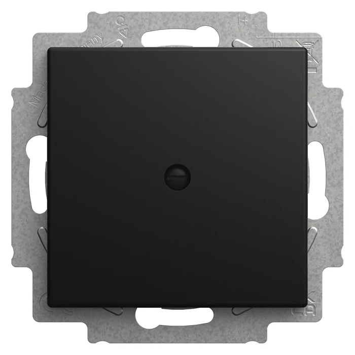 Διακόπτης Τοίχου Busch-Jaeger BJ 2538-915 Blanking plate with mounting ring, Busch-balance SI