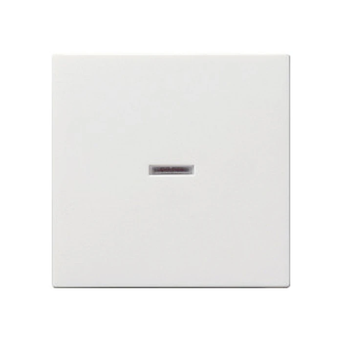 Διακόπτης GIRA 029003 Rocker Switch Control, Pure White, System 55