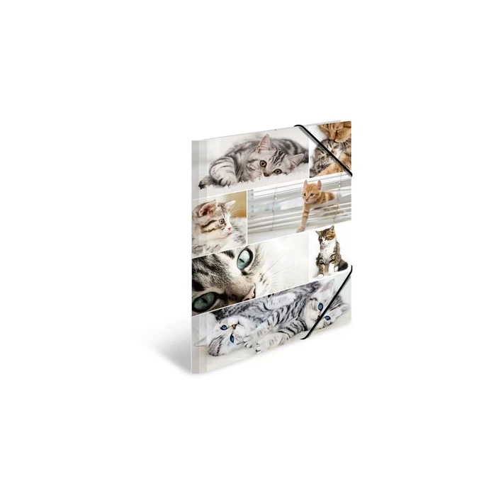 HERMA A3 Envelope 19219 Transparent with Elastic Closure