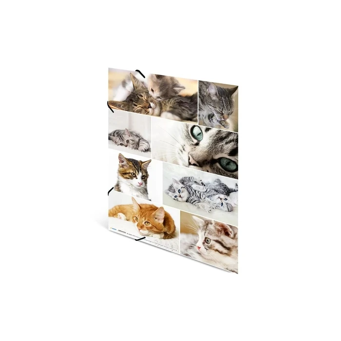 HERMA A3 Envelope 19219 Transparent with Elastic Closure