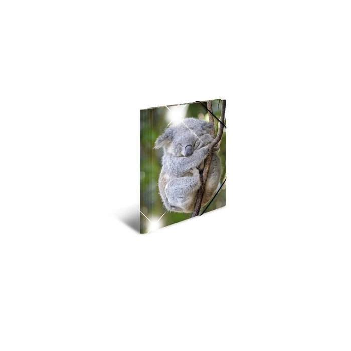 HERMA Φάκελος Συλλογής A4 Glossy Koala (Polypropylen)