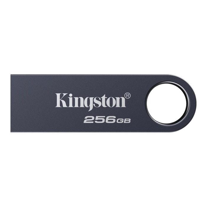 Kingston DataTraveler SE9 G3 USB flash 256 GB - Μαύρο