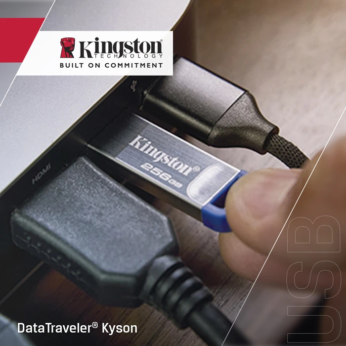 Kingston DataTraveler Kyson G2 DTKNG2/256GB - 256 GB USB 3.2 Gen 1 Flash Drive (Silver/Blue)