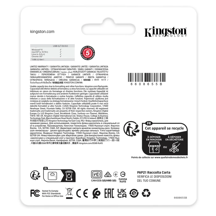 Kingston DataTraveler Kyson G2 DTKNG2/256GB - 256 GB USB 3.2 Gen 1 Flash Drive (Silver/Blue)