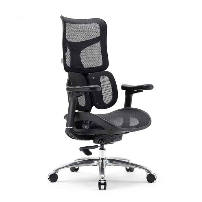 Καρέκλα Γραφείου Sihoo Ergonomic DORO S100 Black