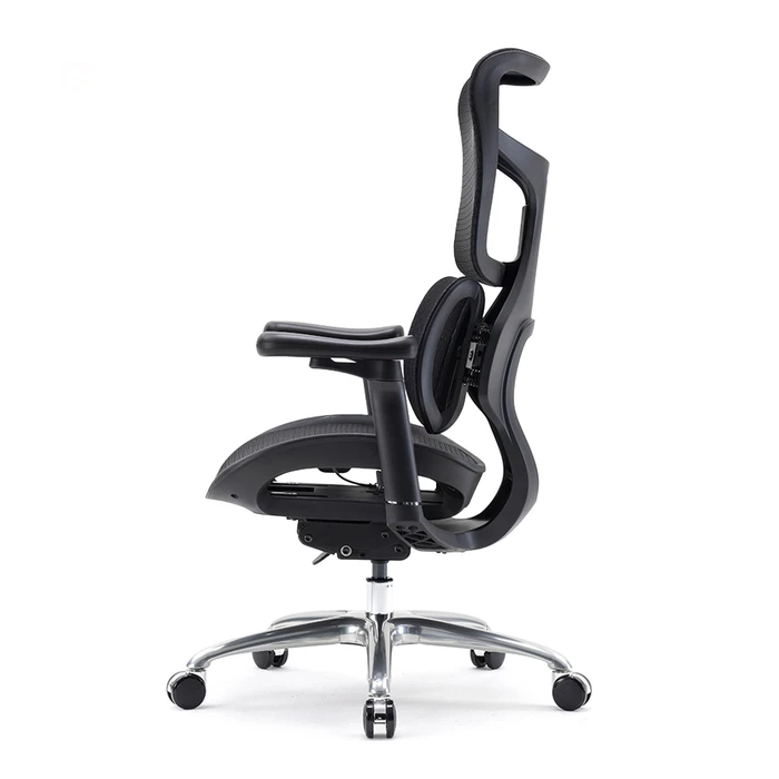 Καρέκλα Γραφείου Sihoo Ergonomic DORO S100 Black