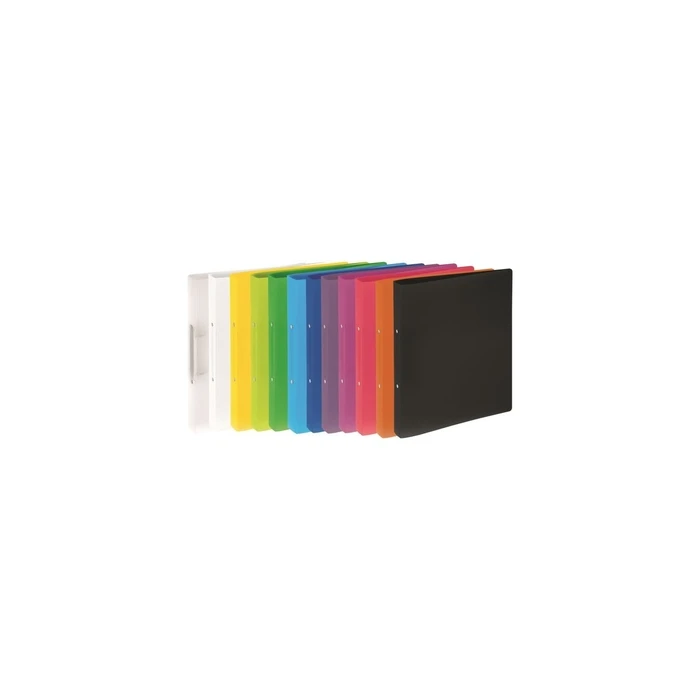 PAGNA Ringbuch A4 16mm PP 2-Ring-Mechanik transparent