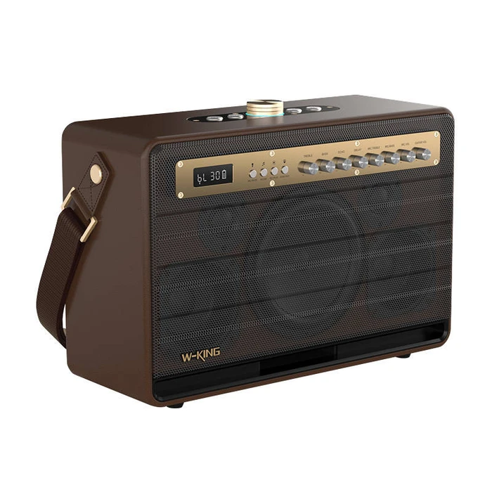 Karaoke W-King K6L 120W + 2 microphones (brown)