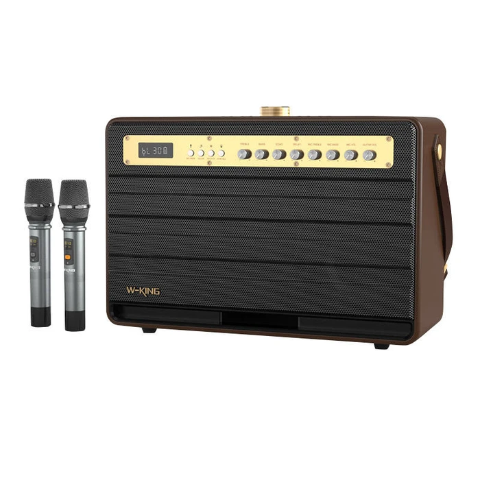 Karaoke W-King K6L 120W + 2 microphones (brown)