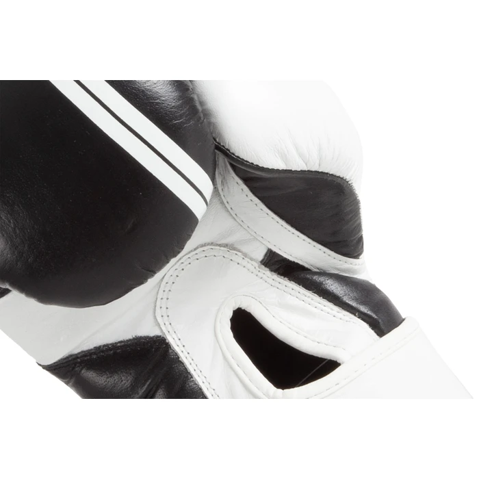 Γάντια Πυγμαχίας Amila RE-BORN 10oz