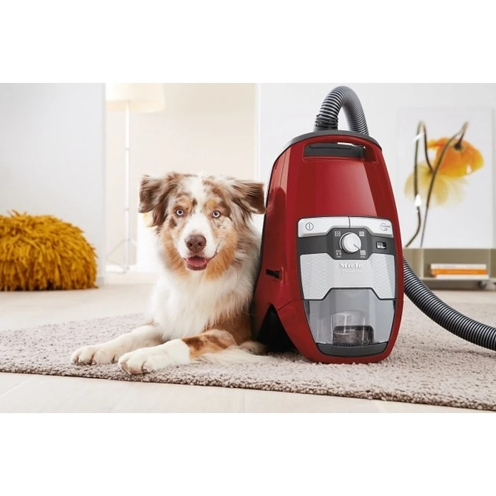 Miele Blizzard CX1 Cat & Dog PowerLine κόκκινο