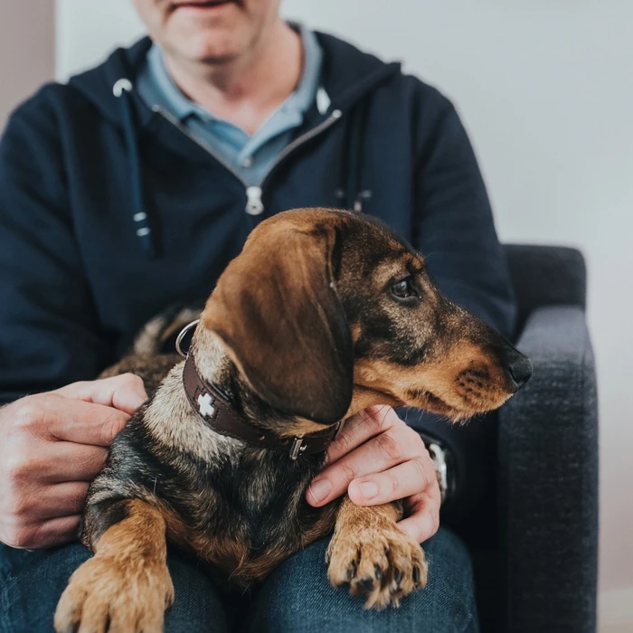 Κολλάρο Σκύλου Hunter Swiss 41-49 cm