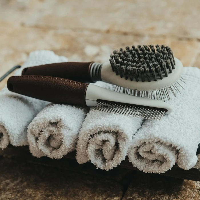 Βούρτσα Κατοικίδιων Hunter 2 σε 1