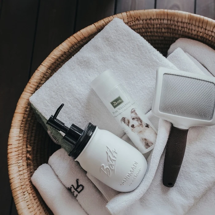 Βούρτσα Hunter 2 σε 1