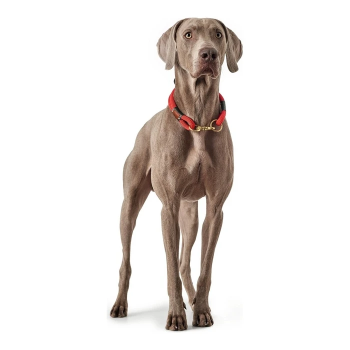 Κολλάρο Σκύλου Hunter OSS Κόκκινο (35 cm)