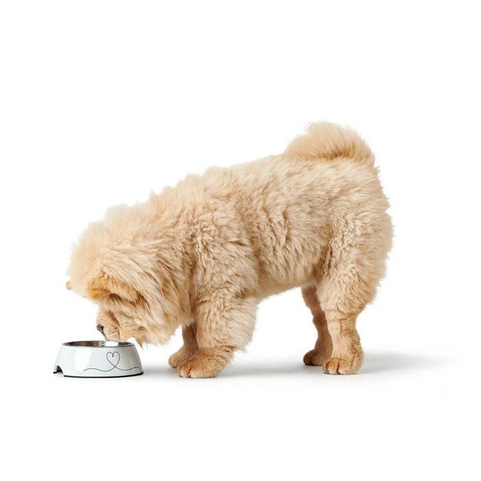 Ταΐστρα Σκύλων Hunter Valencia Λευκό 700 ml